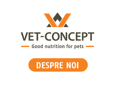 Vet-Concept about us